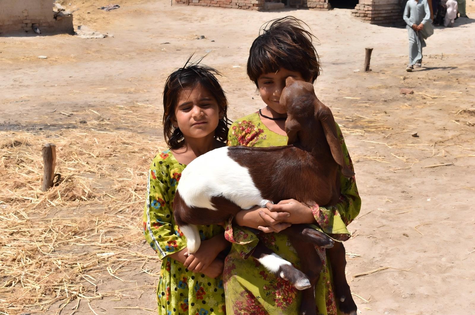 Goats-4-Milk-Meat-Income(1)
